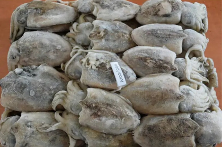 馬來(lái)西亞冷凍墨魚(yú)進(jìn)口報關(guān)流程到上海外高橋案例