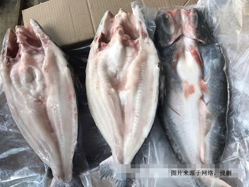 越南冷凍巴沙魚(yú)進(jìn)口報關(guān)資料到深圳鹽田水產(chǎn)品案例