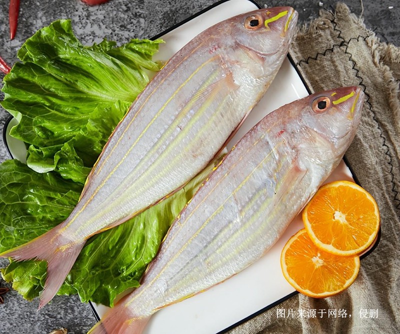 上海進(jìn)口越南金線(xiàn)魚(yú)報關(guān)流程到上海外高橋海運案例