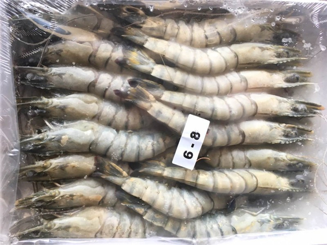 上海進(jìn)口馬來(lái)西亞冷凍蝦報關(guān)