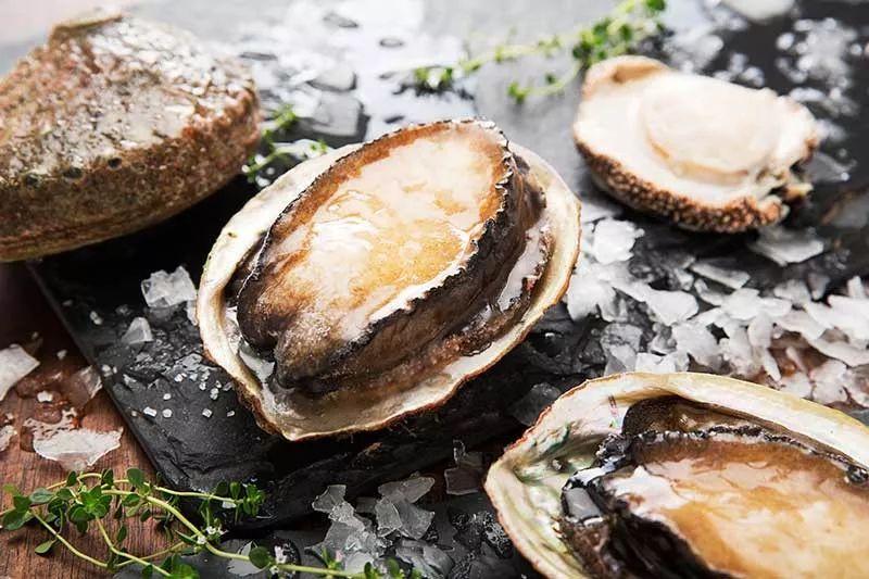 澳大利亞鮑魚(yú)進(jìn)口報關(guān)流程
